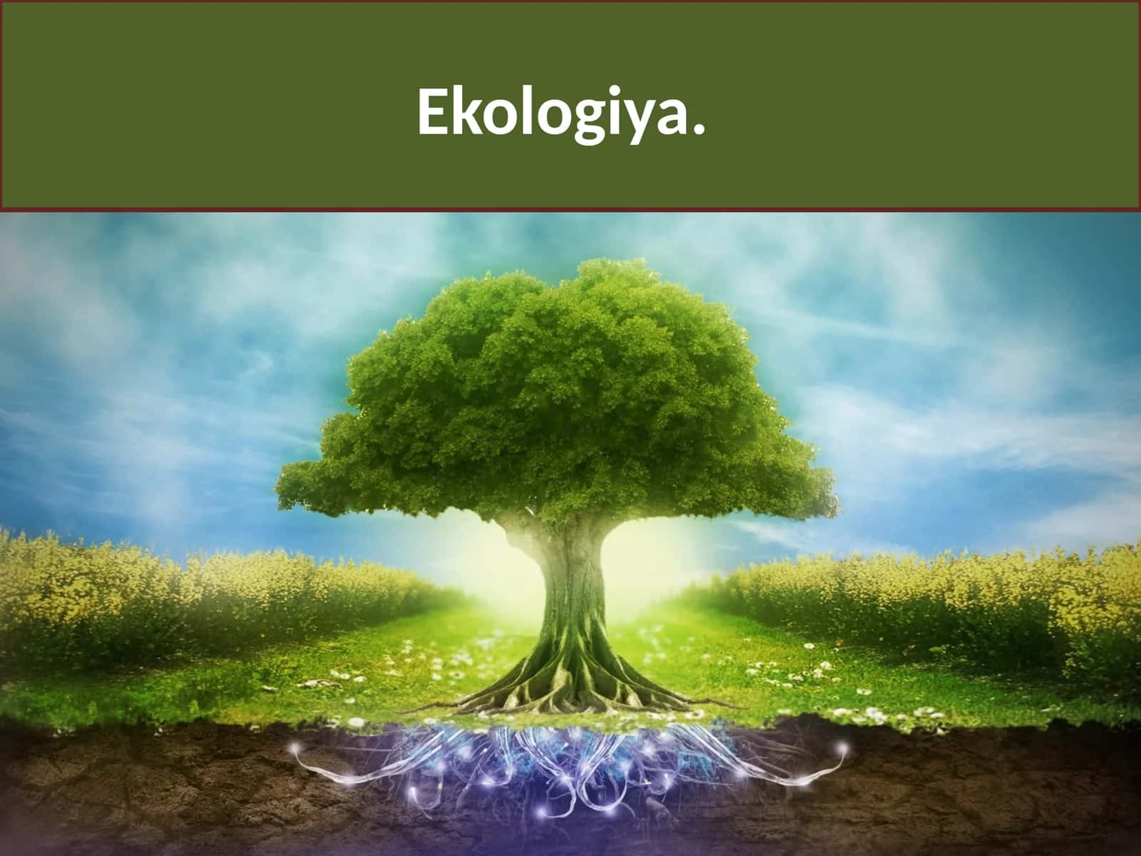 Ekologiya va tabiiy resurslardan oqilona foydalanish 1