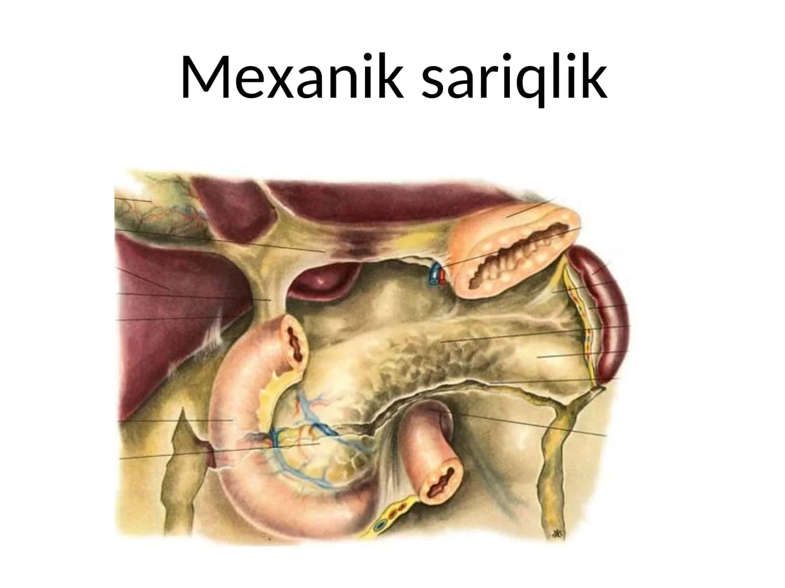 Mexanik sariqlik 1