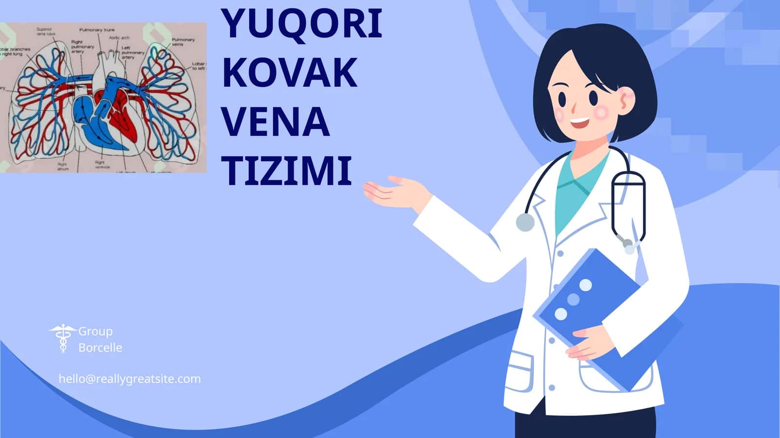 YUQORI KOVAK VENA TIZIMI 1