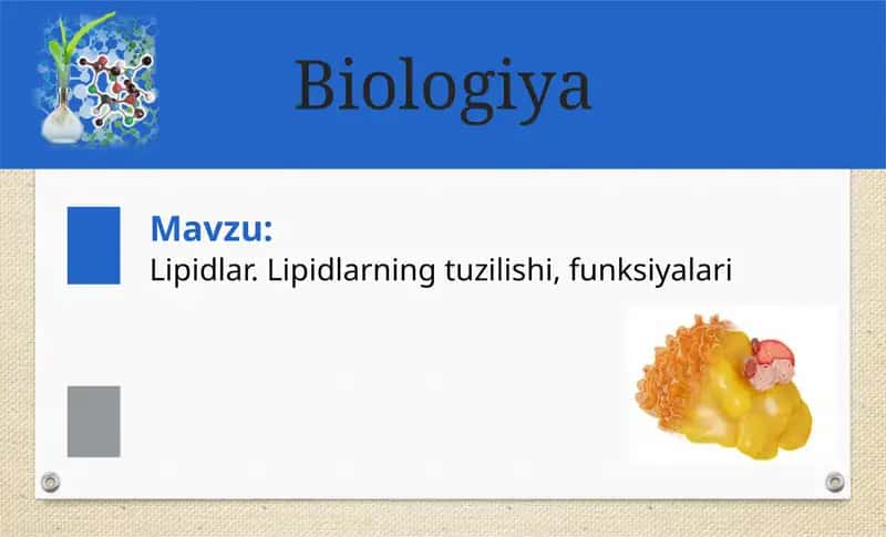 Lipidlar 1