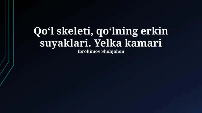 Yelka kamari 1