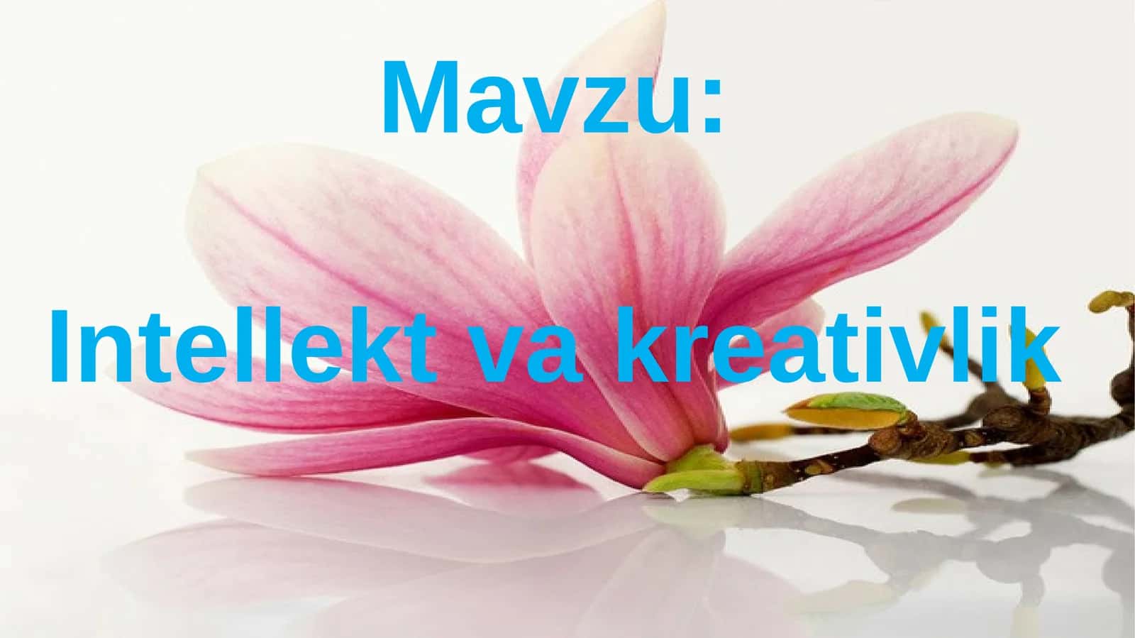 Intellekt va Kreativlik 1