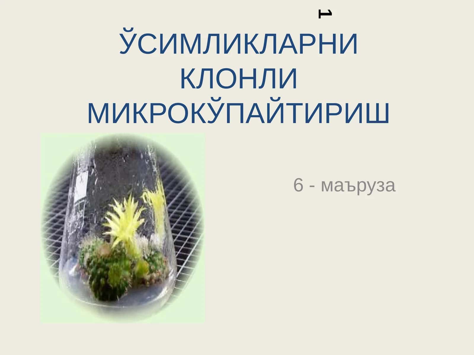 Ўсимликларни клонли микрокўпайтириш 1