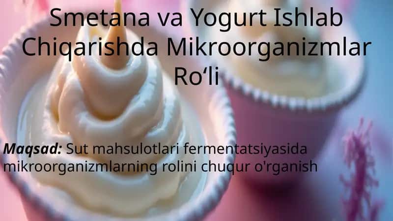 SmetanavaYogurtIshlabChiqarishdaMikroorganizmlarRo'li 1