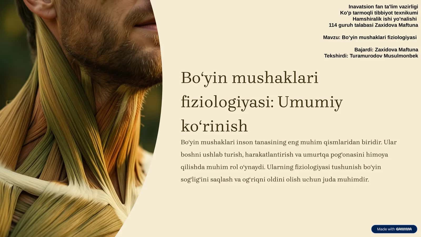 Boʻyin mushaklari fiziologiyasi 1