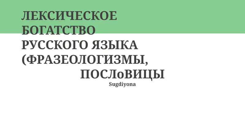Лексическое богатство русского языка (Фразеологизмы, Пословицы) 1