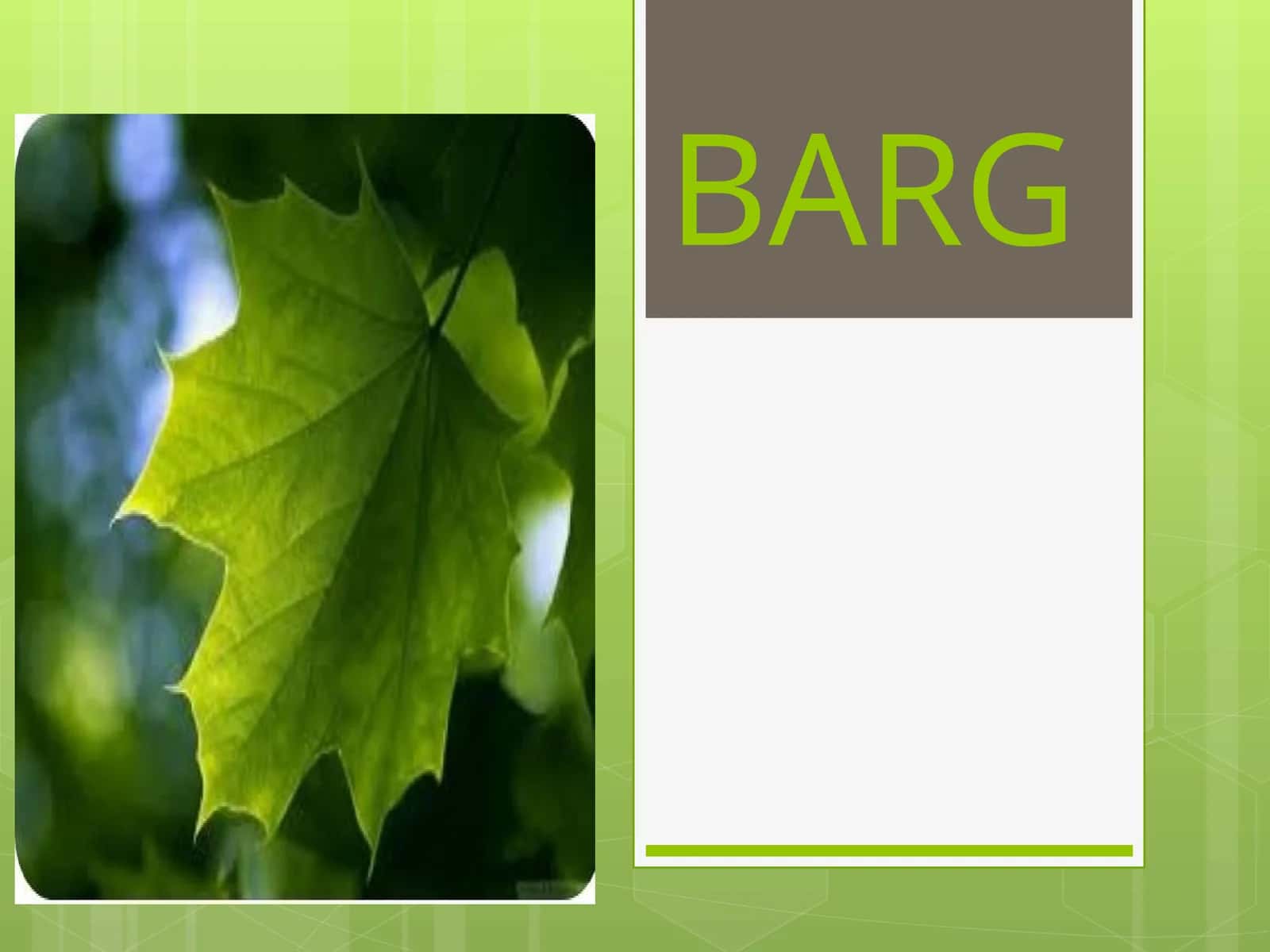 BARG 1