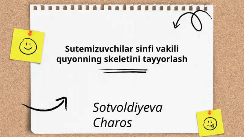 Sutemizuvchilar sinfi vakili quyonning skeletini tayyorlash 1