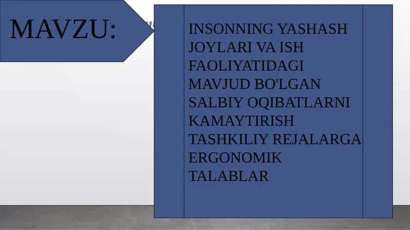 Insonning yashash joylari va ish faoliyatidagi mavjud bo'lgan salbiy oqibatlarni kamaytirish tashkiliy rejalar 1