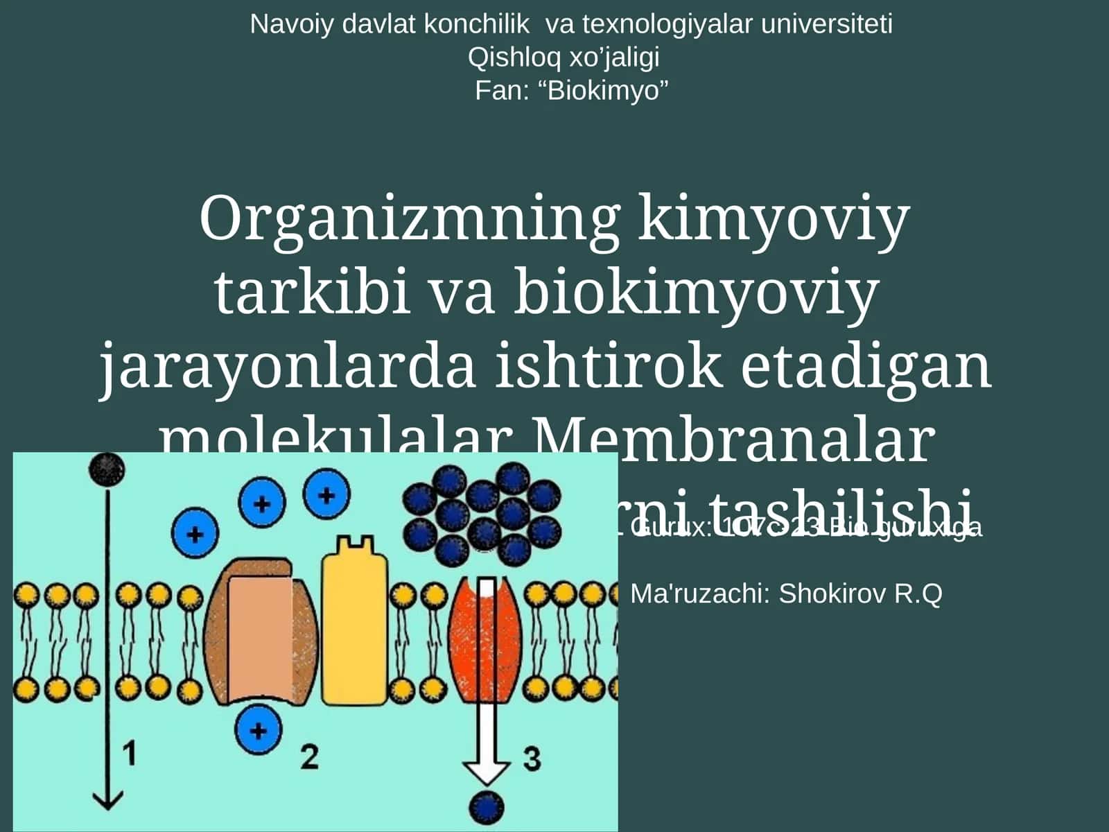 Organizmning kimyoviy tarkibi va biokimyoviy jarayonlarda ishtirok etadigan molekulalar Membranalar bo'ylab moddalarni tashilishi 1