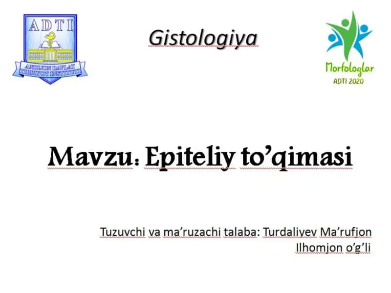 Epiteliyto’qimasi 1