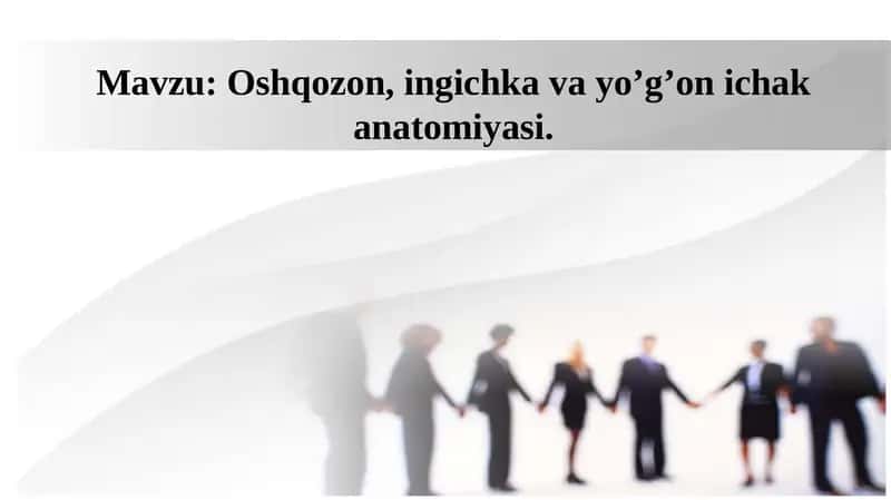Oshqozon, ingichka va yo’g’on ichak anatomiyasi. 1