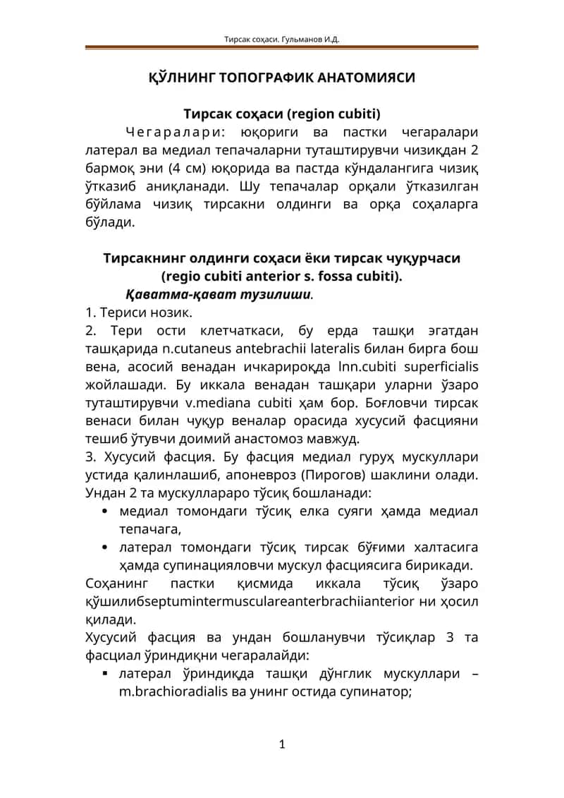 ҚЎЛНИНГ ТОПОГРАФИК АНАТОМИЯСИ 1