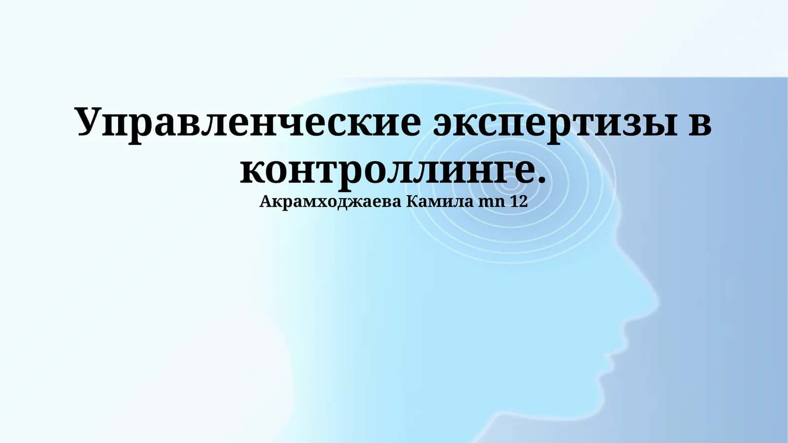 Управленческие экспертизы в контроллинге 1