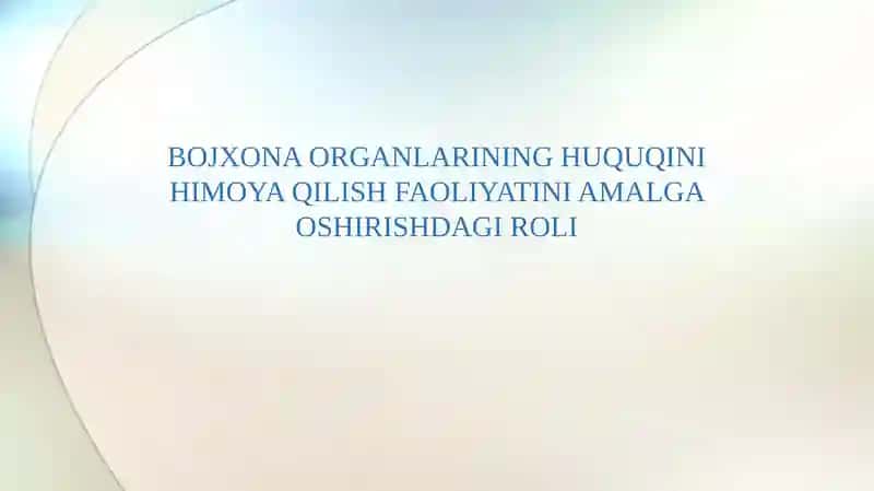 BOJXONA ORGANLARINING HUQUQINI HIMOYA QILISH FAOLIYATINI AMALGA OSHIRISHDAGI ROLI