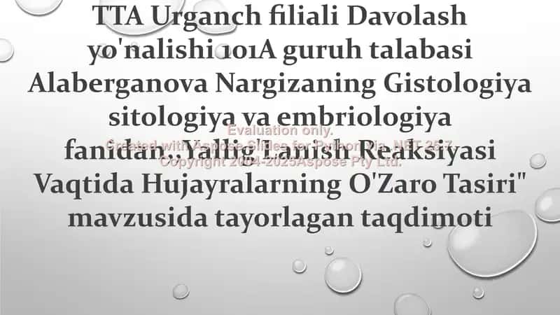 Yallig'Lanish Reaksiyasi Vaqtida Hujayralarning O'Zaro Tasiri 1
