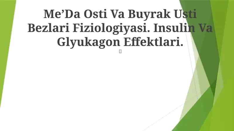 Me’Da Osti Va Buyrak Usti Bezlari Fiziologiyasi 1