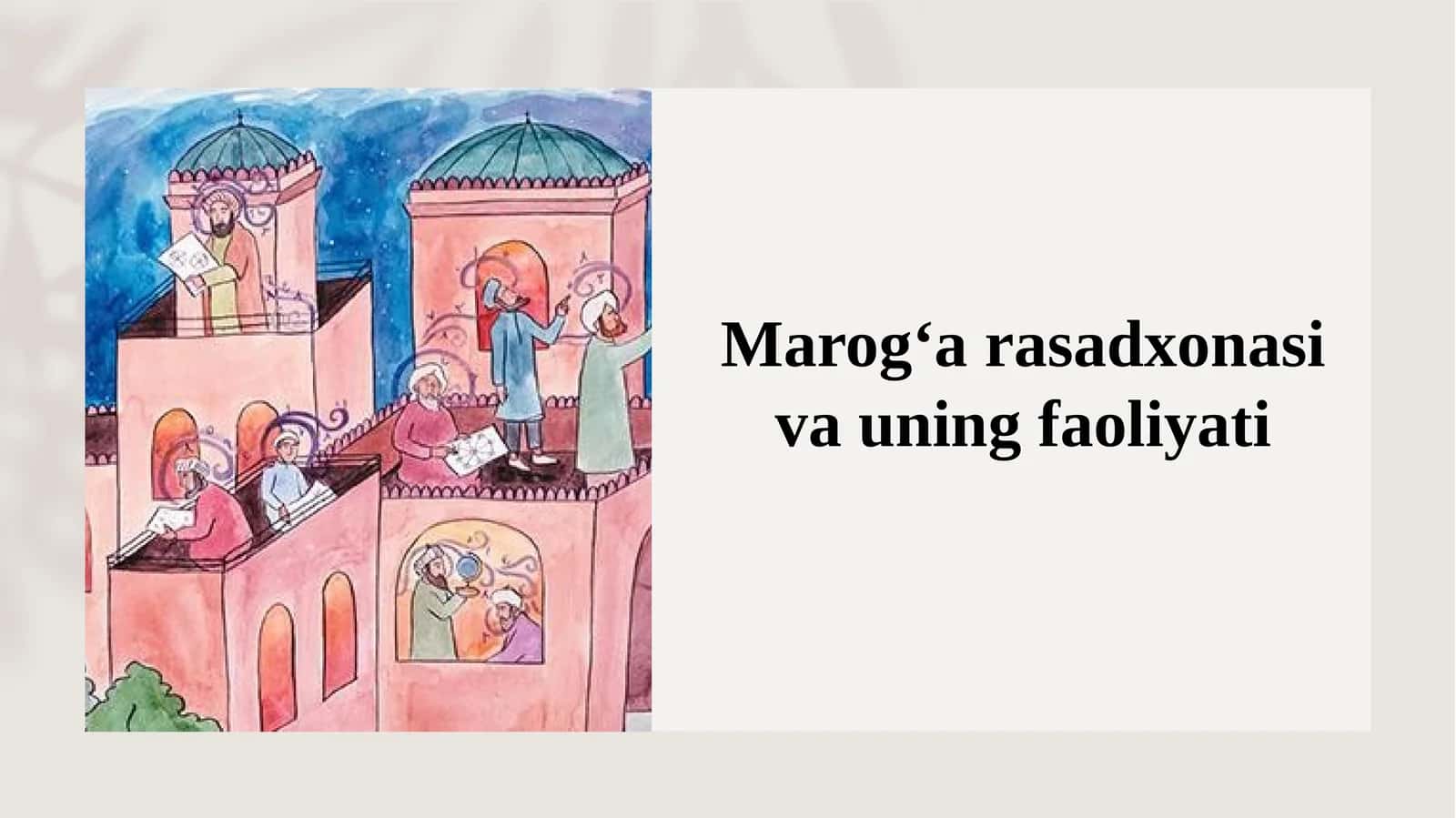Marog‘a rasadxonasi va uning faoliyati 1