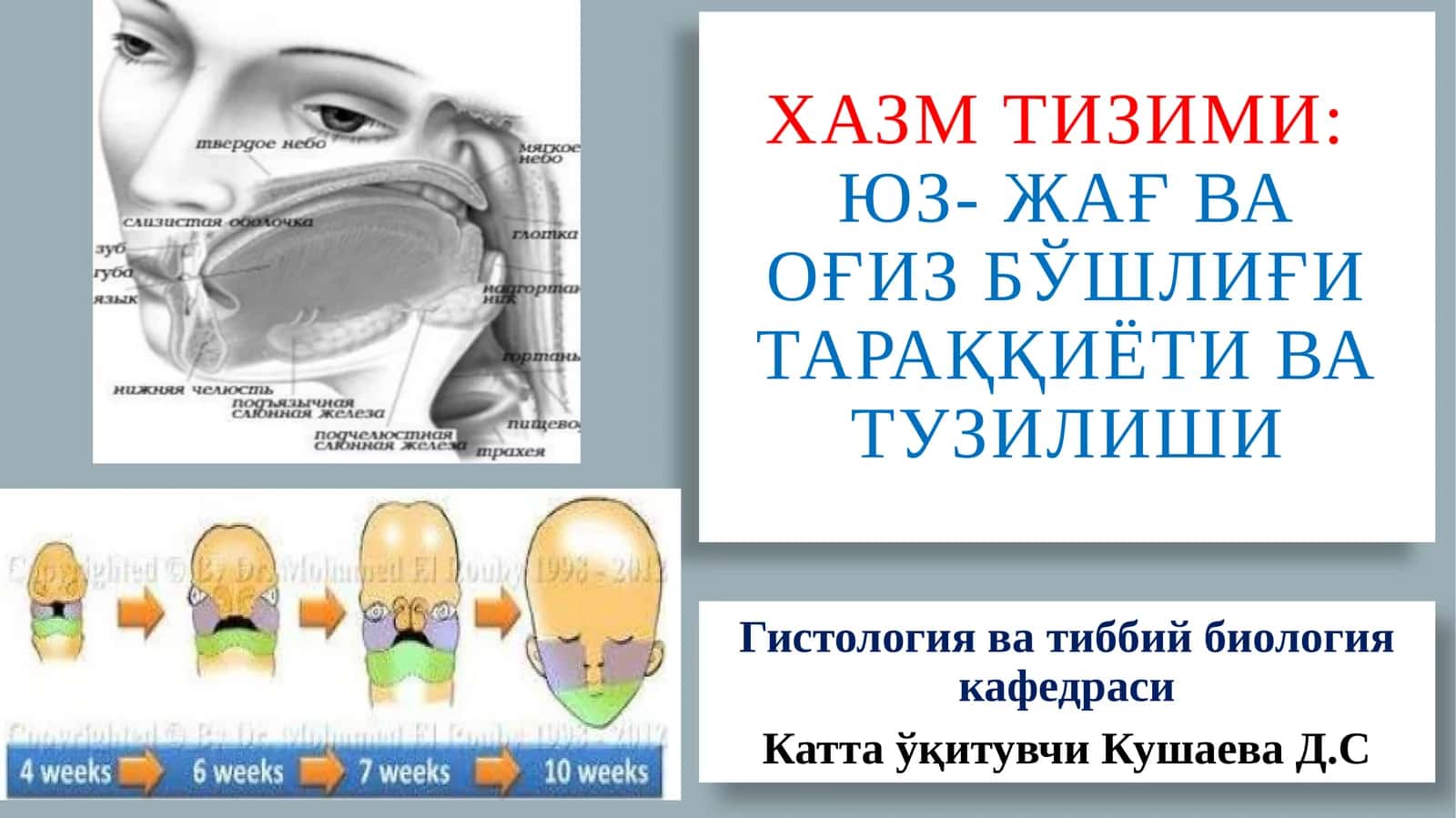 Хазмтизими 1