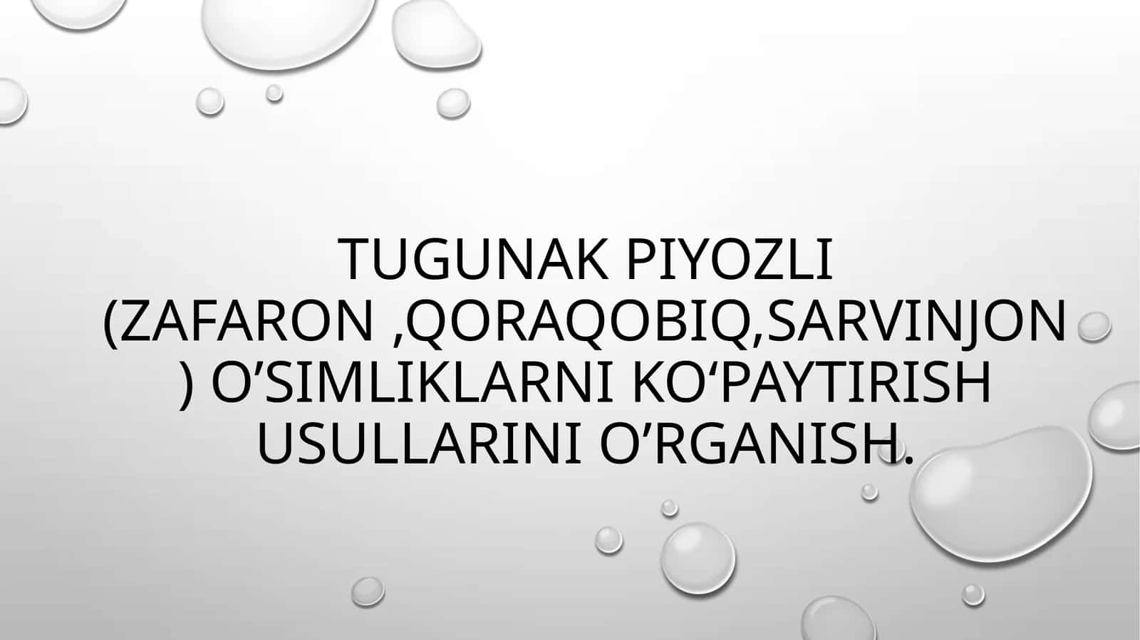 Tugunak piyozli (Zafaron,qoraqobiq,Sarvinjon) o’simliklar 1