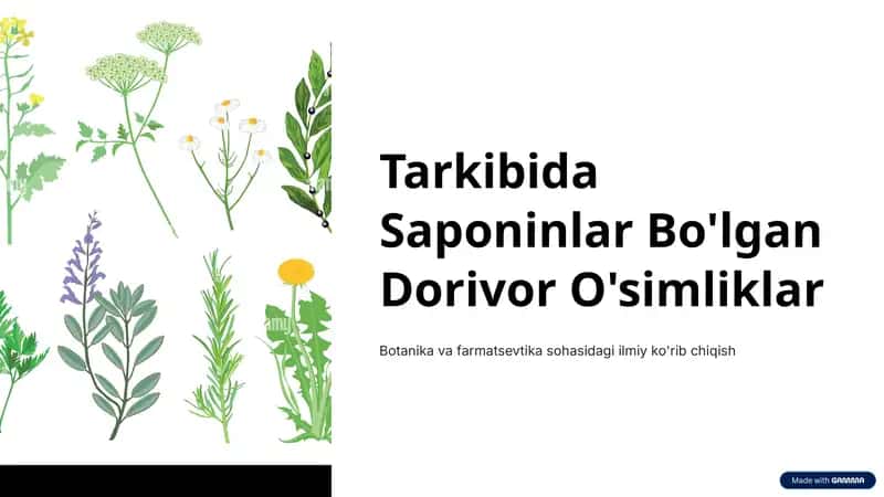 Saponinlar Bo'lgan Dorivor O'simliklar 1