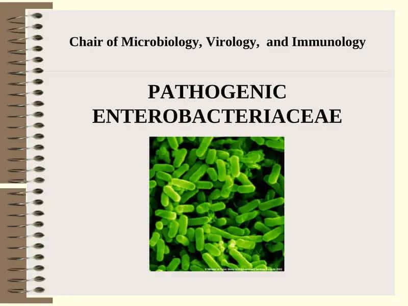 Pathogenic Enterobacteriaceae 1