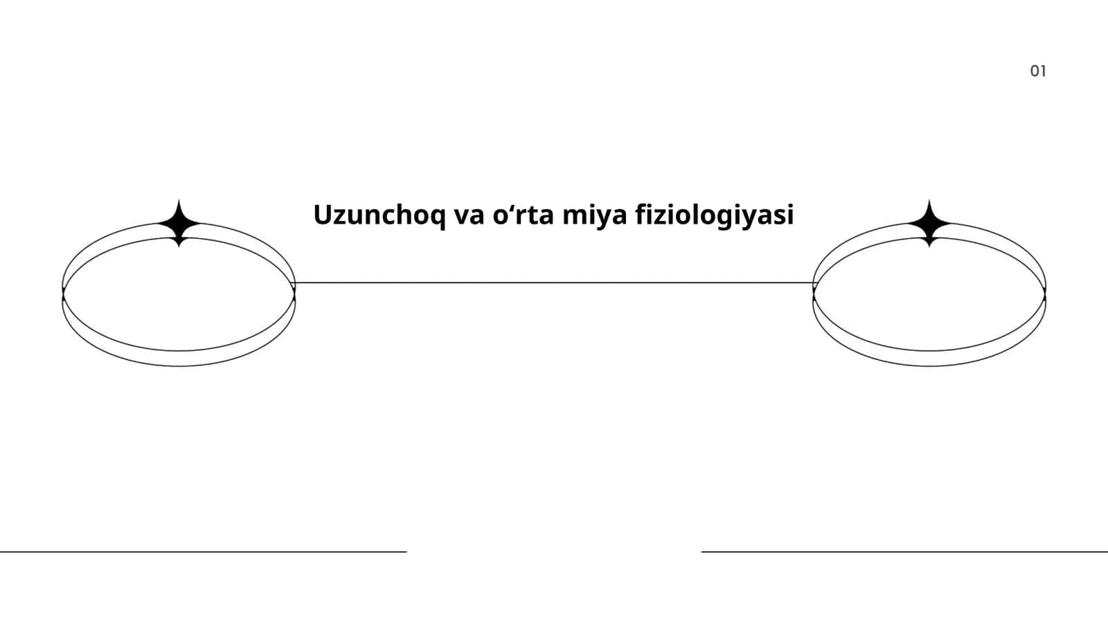 Uzunchoq va oʻrta miya fiziologiyasi 1