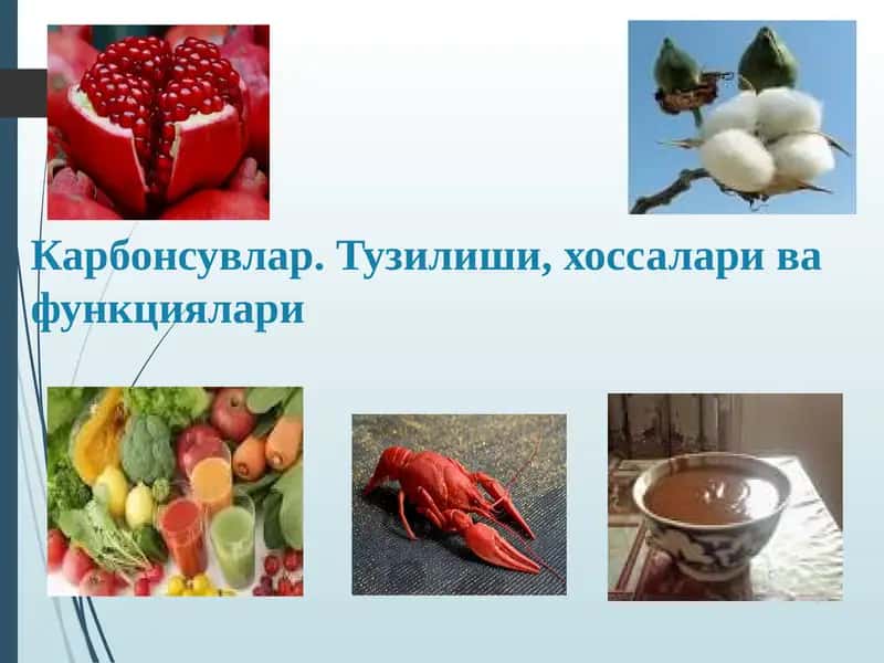 Карбонсувлар. Тузилиши, хоссалари ва функциялари 1