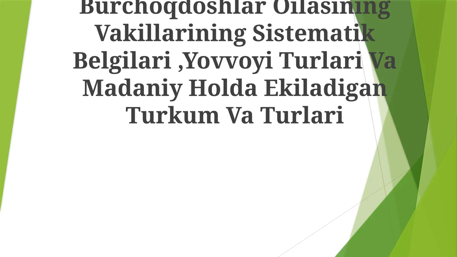 Burchoqdoshlar Oilasining Vakillarining Sistematik Belgilari,Yovvoyi Turlari Va Madaniy Holda Ekiladigan Turkum Va Turlari 1