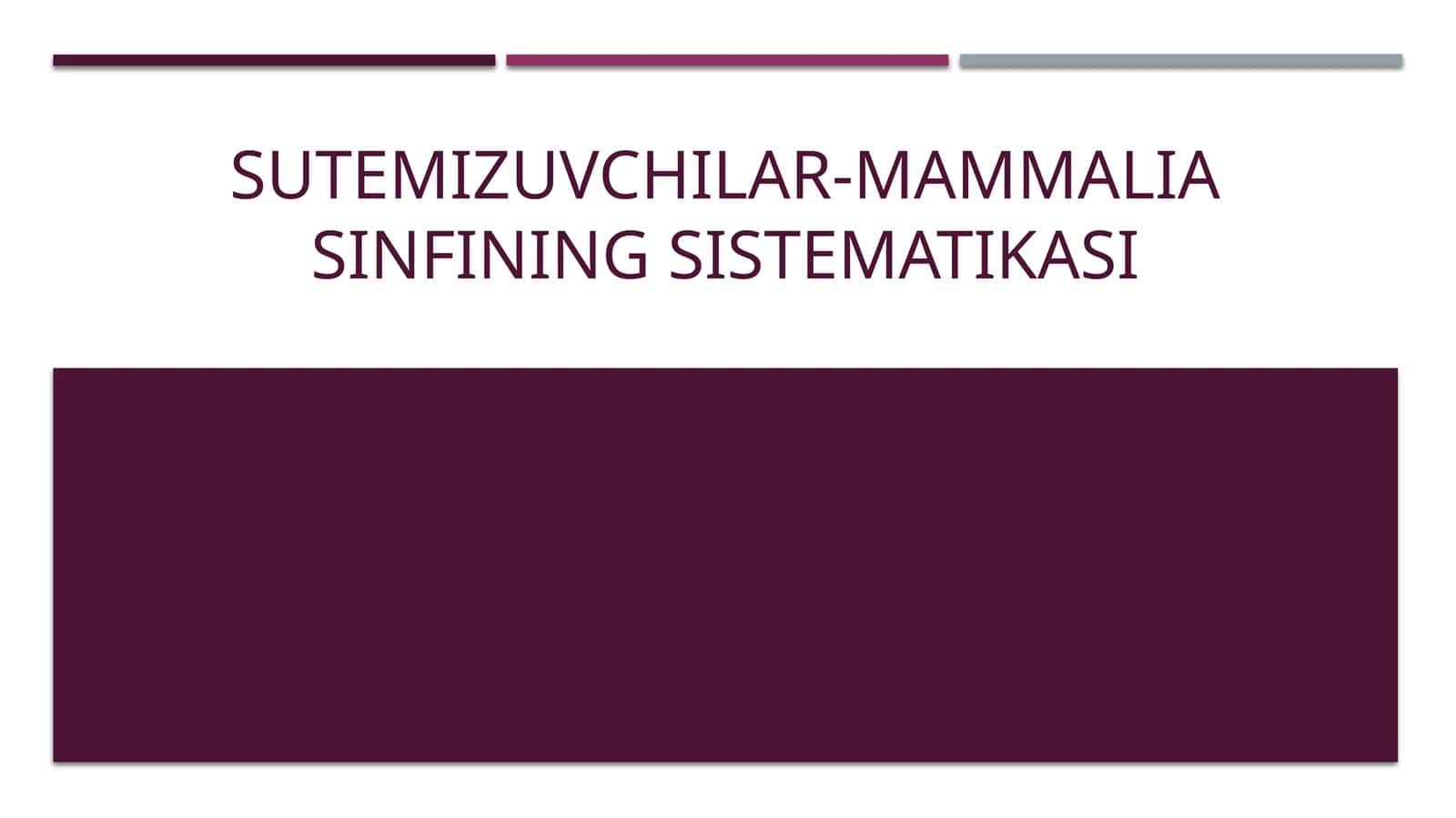 Sutemizuvchilar-Mammalia sinfining sistematikasi 1