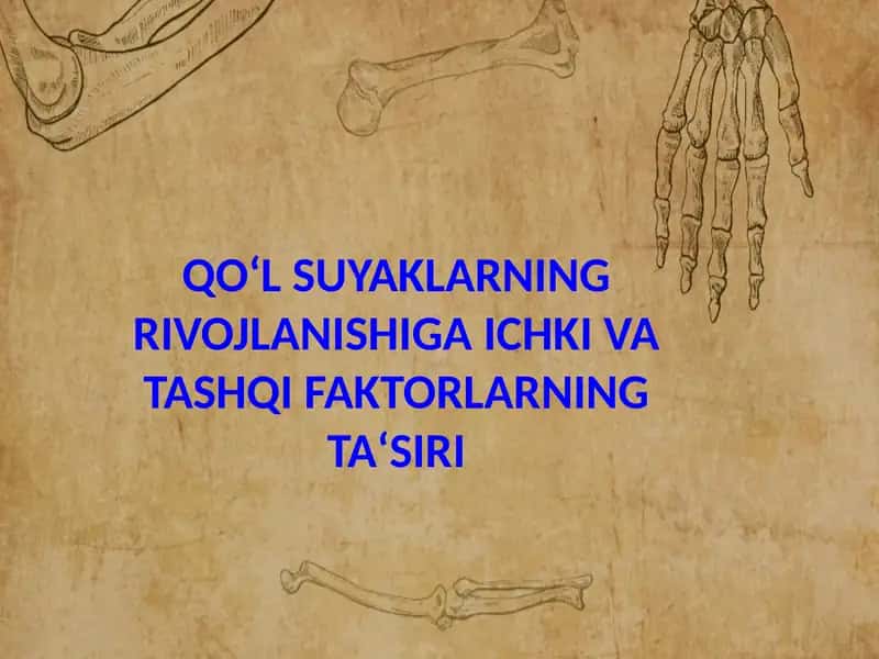 QO‘L SUYAKLARNING RIVOJLANISHIGA ICHKI VA TASHQI FAKTORLARNING TA‘SIRI 1
