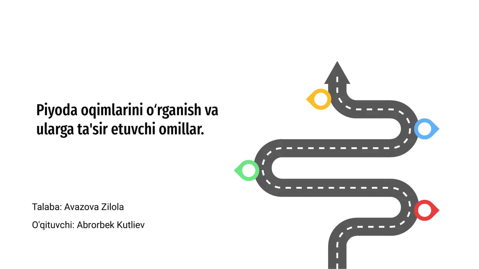 Piyoda oqimlarini o‘rganish va ularga ta'sir etuvchi omillar 1