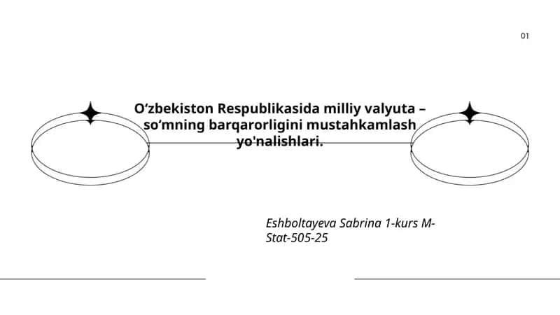 So‘mning barqarorligini mustahkamlash yo'nalishlari 1