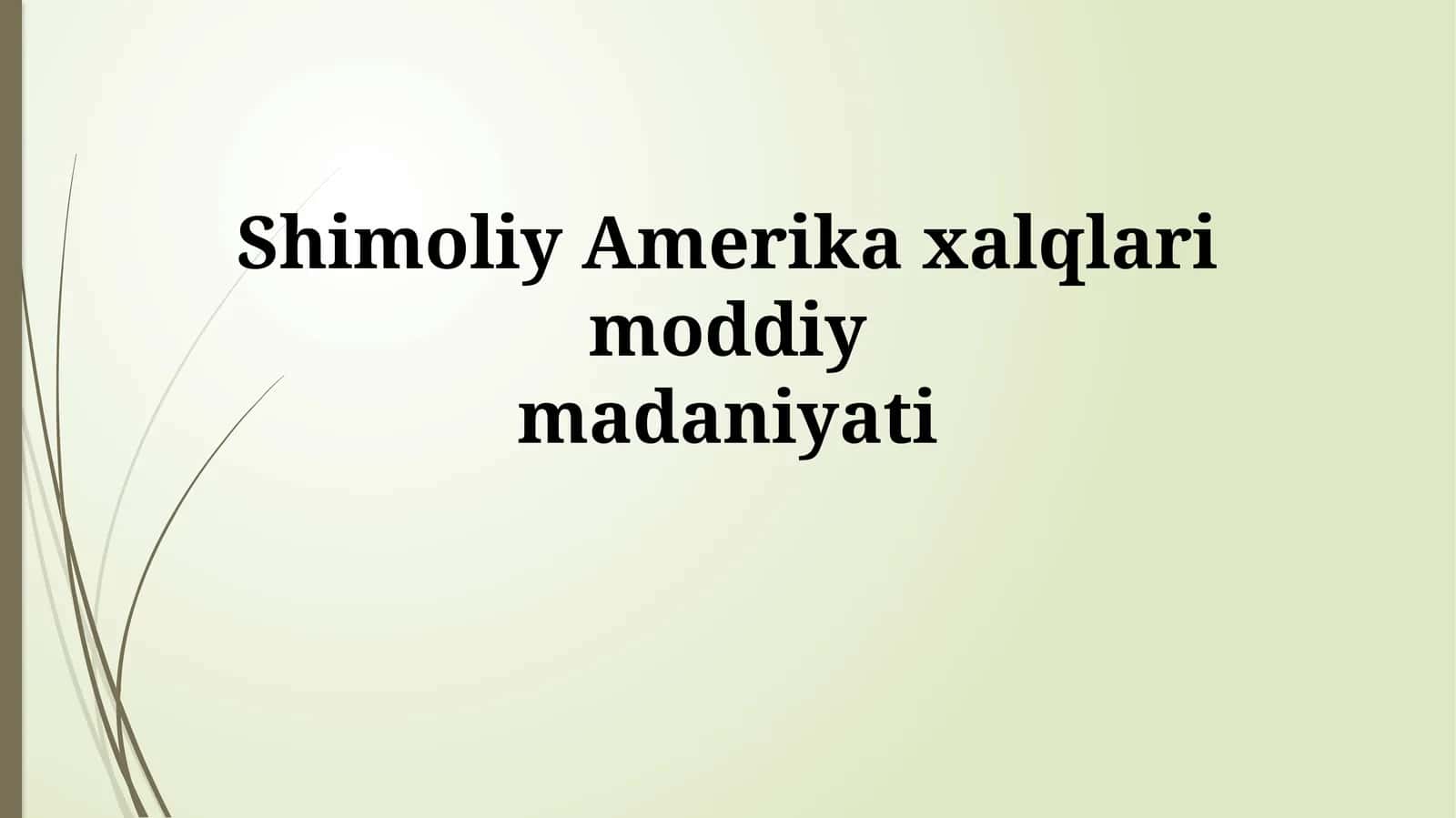 Shimoliy Amerika xalqlari moddiy madaniyati 1