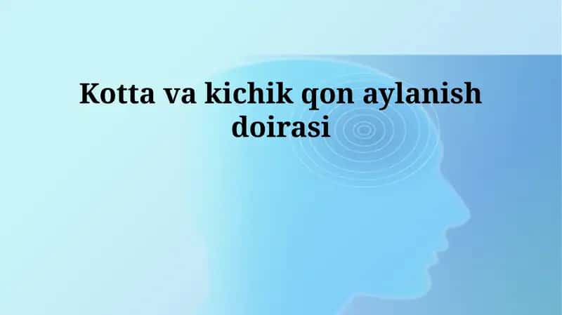 Sistem qon aylanishi 1