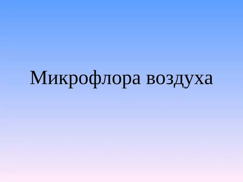 Микрофлора воздуха 1