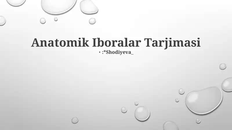 Anatomik Iboralar Tarjimasi 1