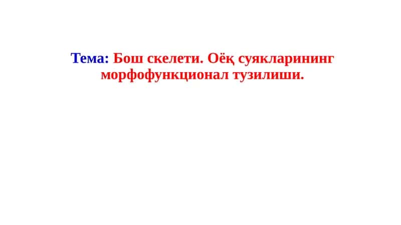Бош скелети 1