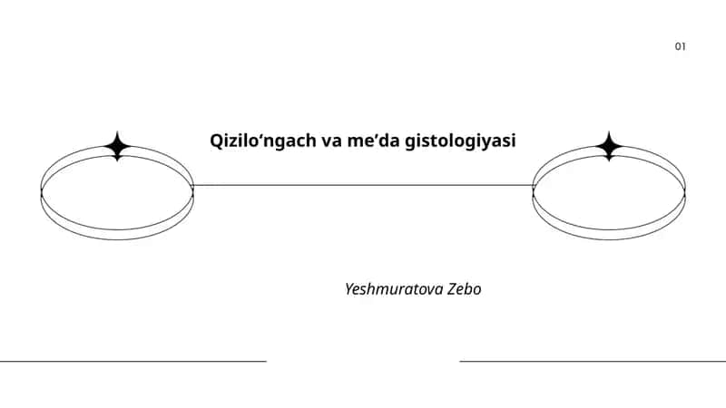 Qiziloʻngach va meʼda gistologiyasi 1