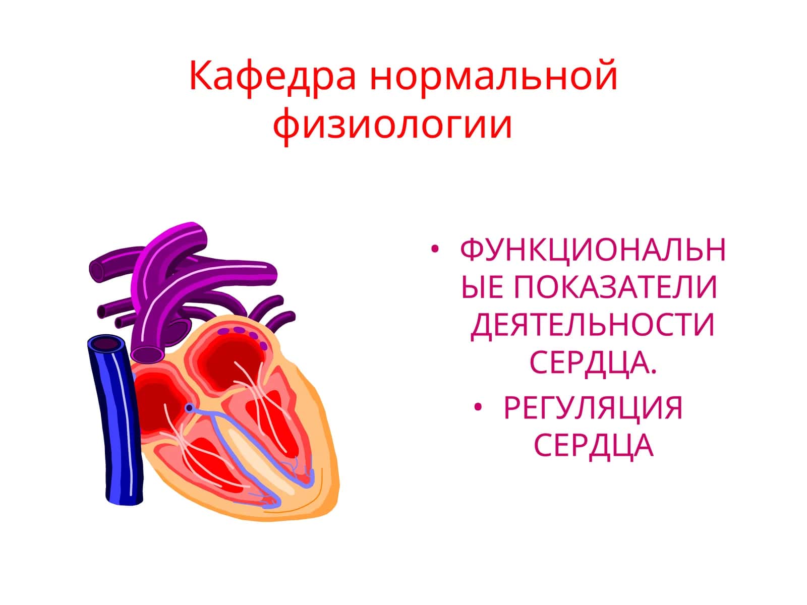 Функциональные показатели деятельности сердца 1
