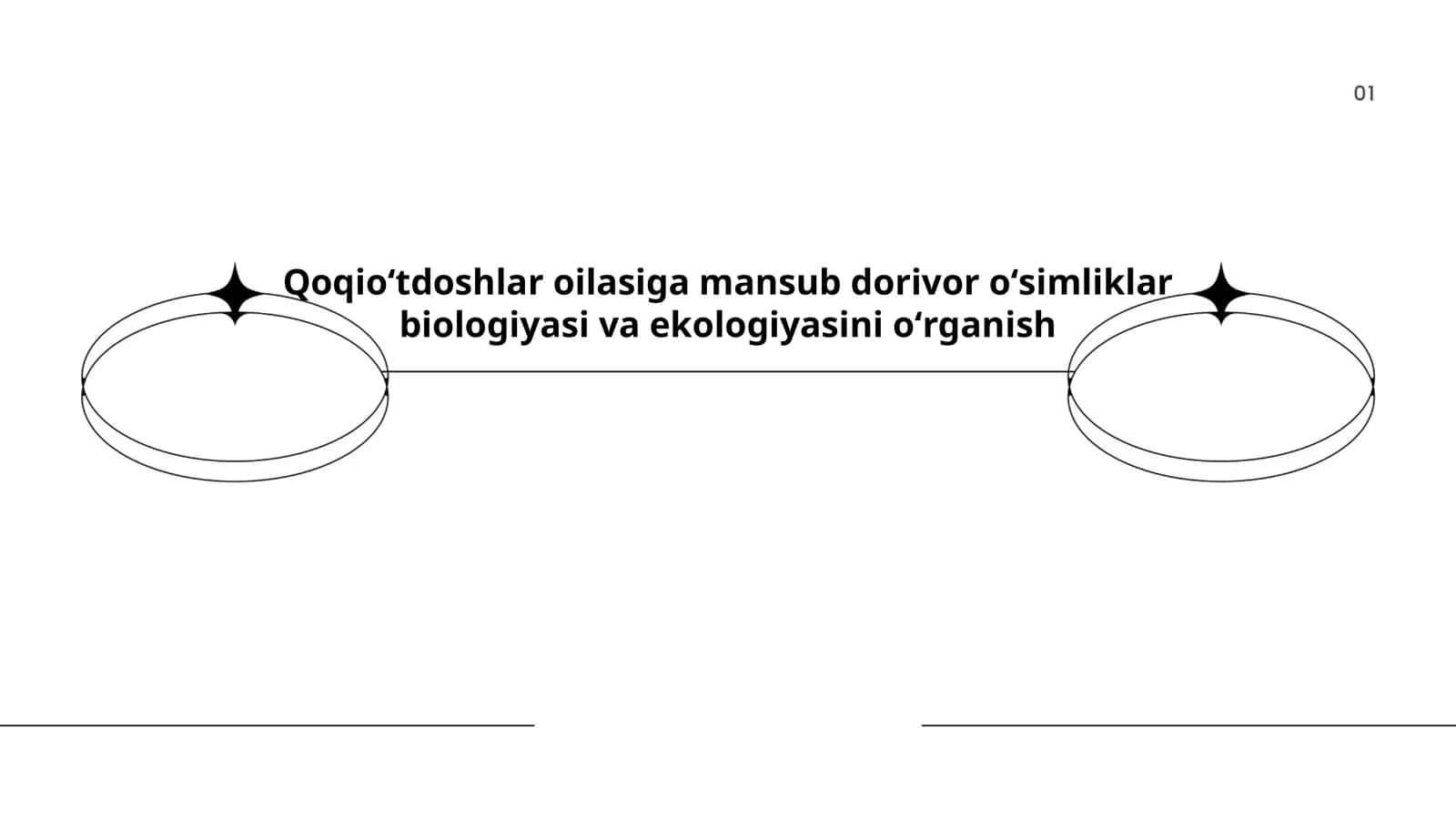 Qoqioʻtdoshlar oilasiga mansub dorivor oʻsimliklar biologiyasi va ekologiyasini oʻrganish 1