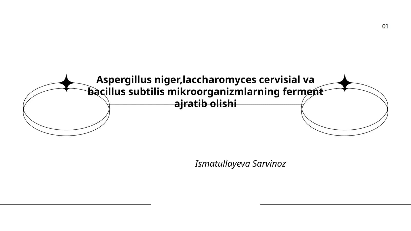 Aspergillus niger, Saccharomyces cervisial va Bacillus subtilis mikroorganizmlarning ferment ajratib olishi 1