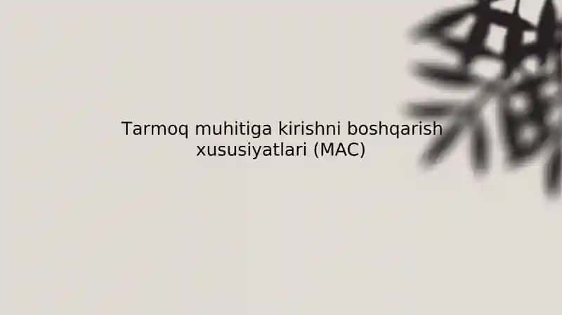 Tarmoq muhitiga kirishni boshqarish xususiyatlari (MAC)