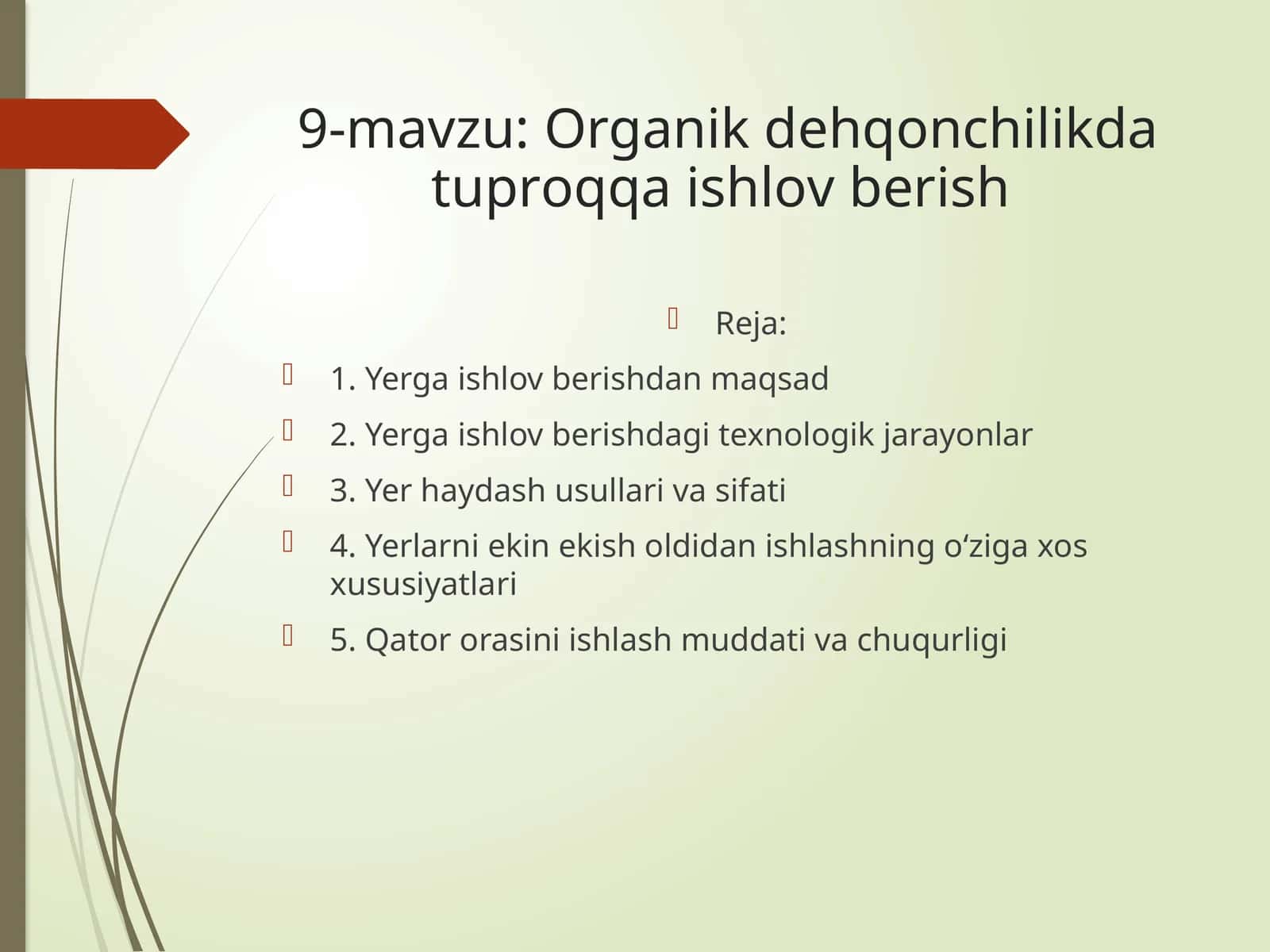 Оrgаnik dеhqоnchilikdа tuprоqqа ishlоv bеrish 1