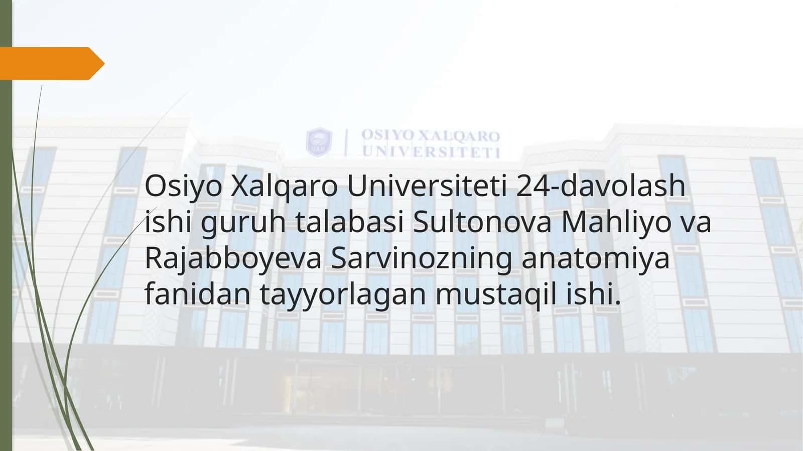 Nafas olish jarayoni. Nafas a'zolarining rentgen anatomiyasi va rivojlanish nuqsonlari 1