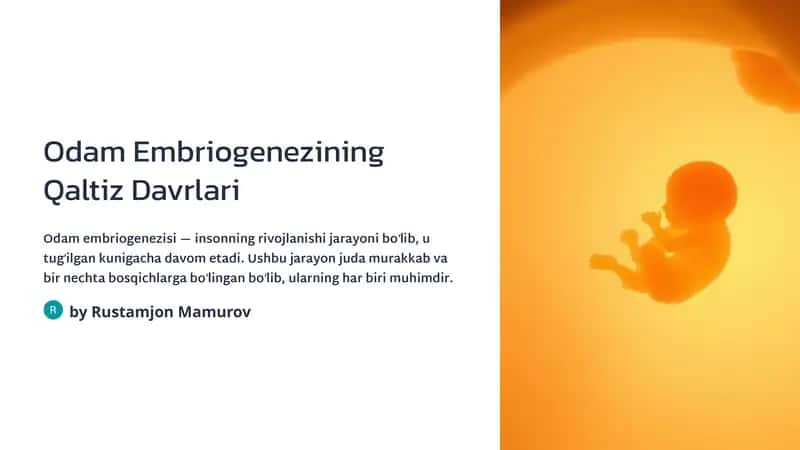 Odamlar embriologiyasi 1