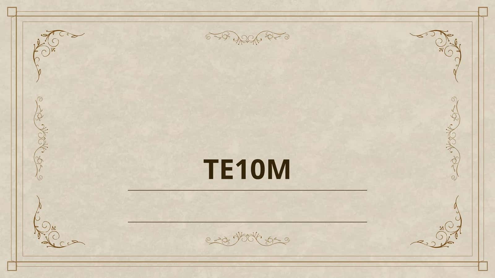 TE10M 1