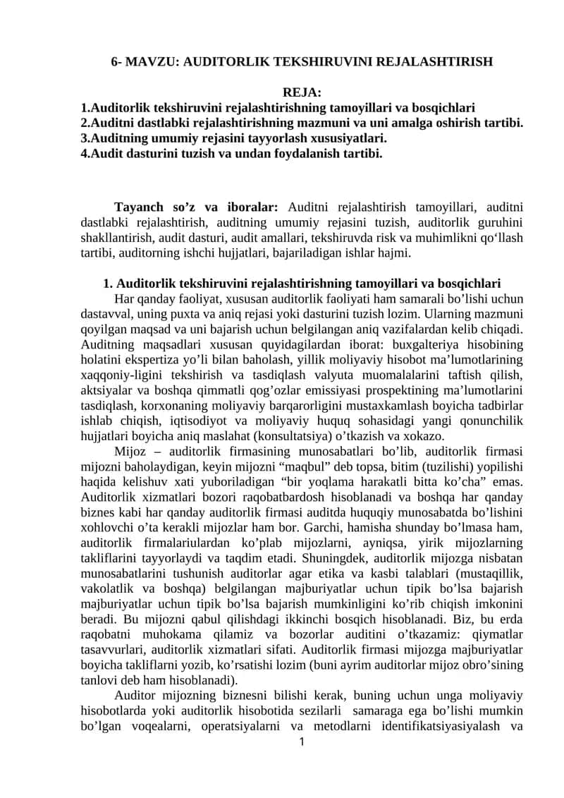 Auditorlik tekshiruvini rejalashtirish 1