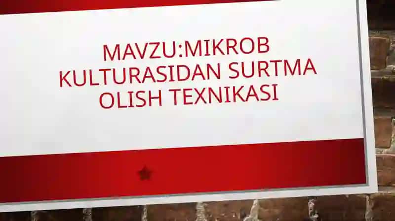 mustaqil ish mikrobiologiya