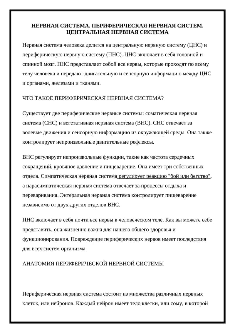 Периферическая нервная система 1